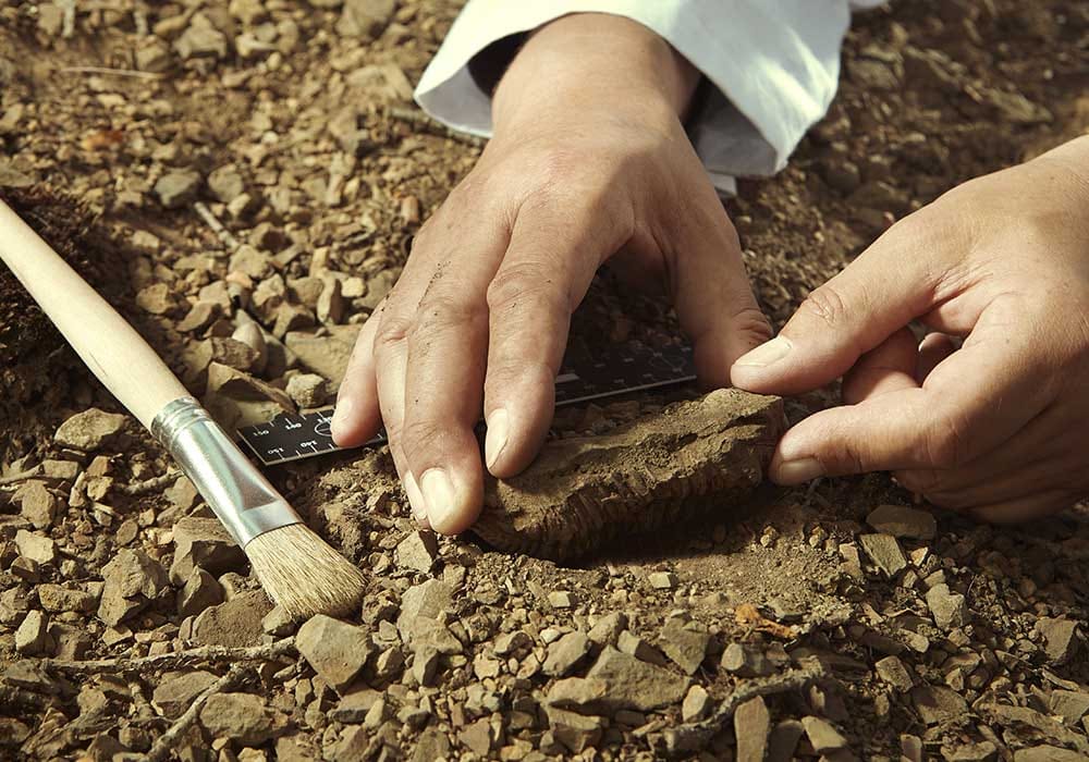 Archéobox, 1870 Trésors sous la terre