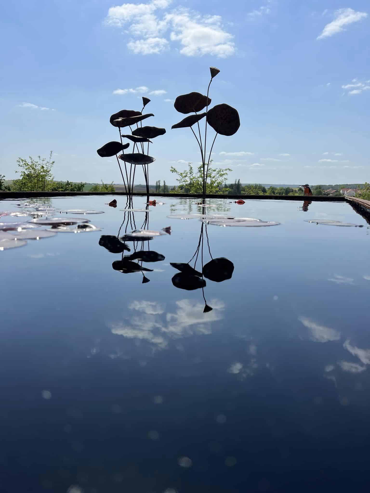 Photographie d'un point d'eau avec des nénuphars dans les Jardins Fruitiers de Laquenexy