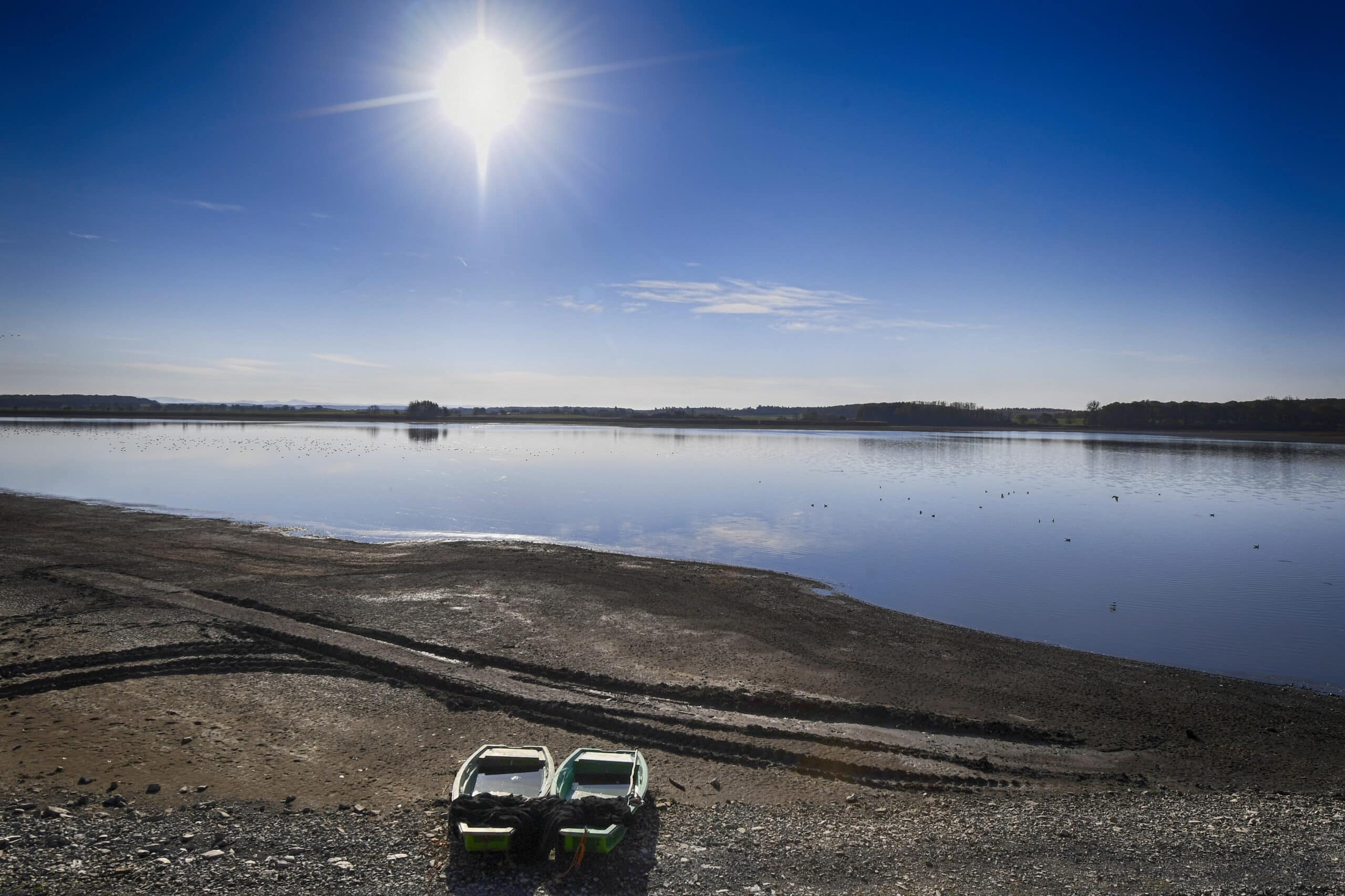 Paysage ensoleillé du Domaine départemental de Lindre