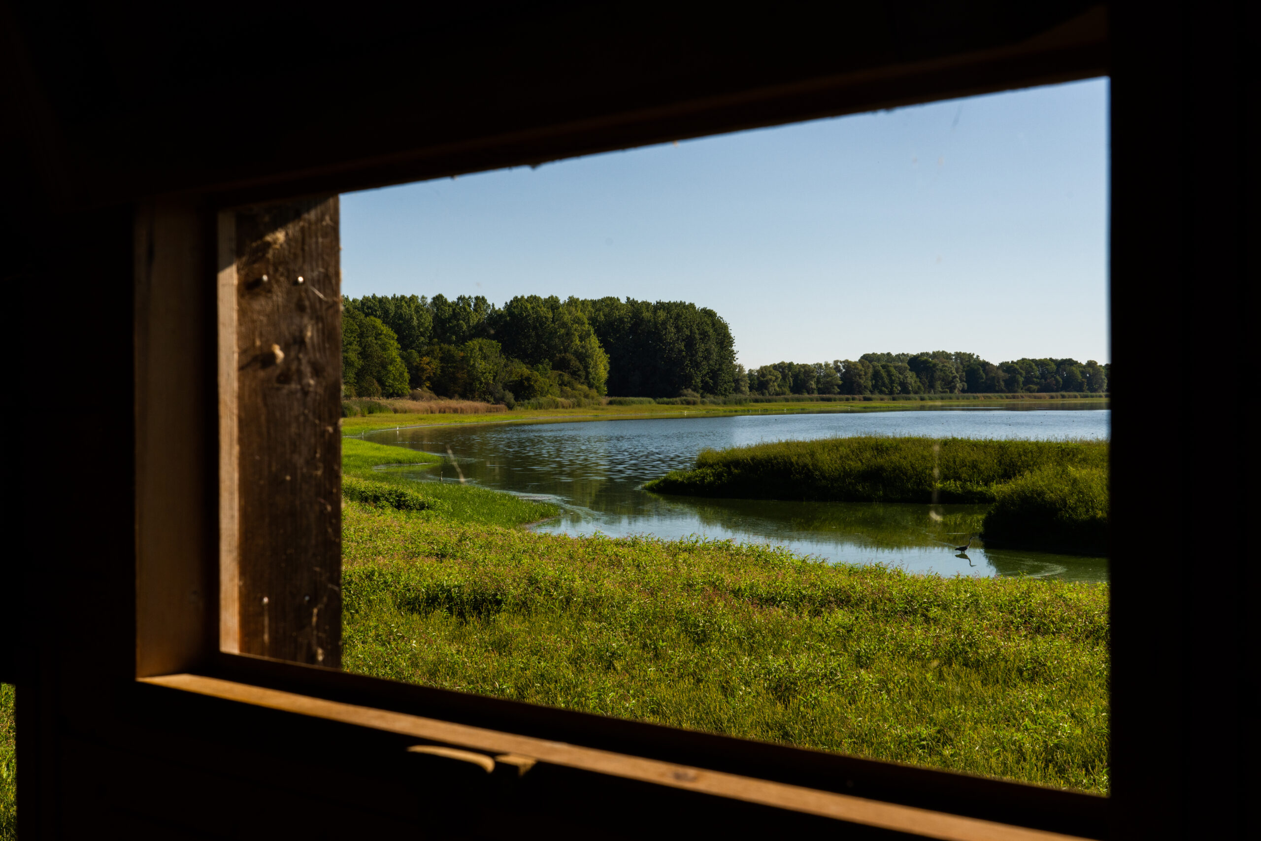 View of the observation cabin of the Lindre departmental domain