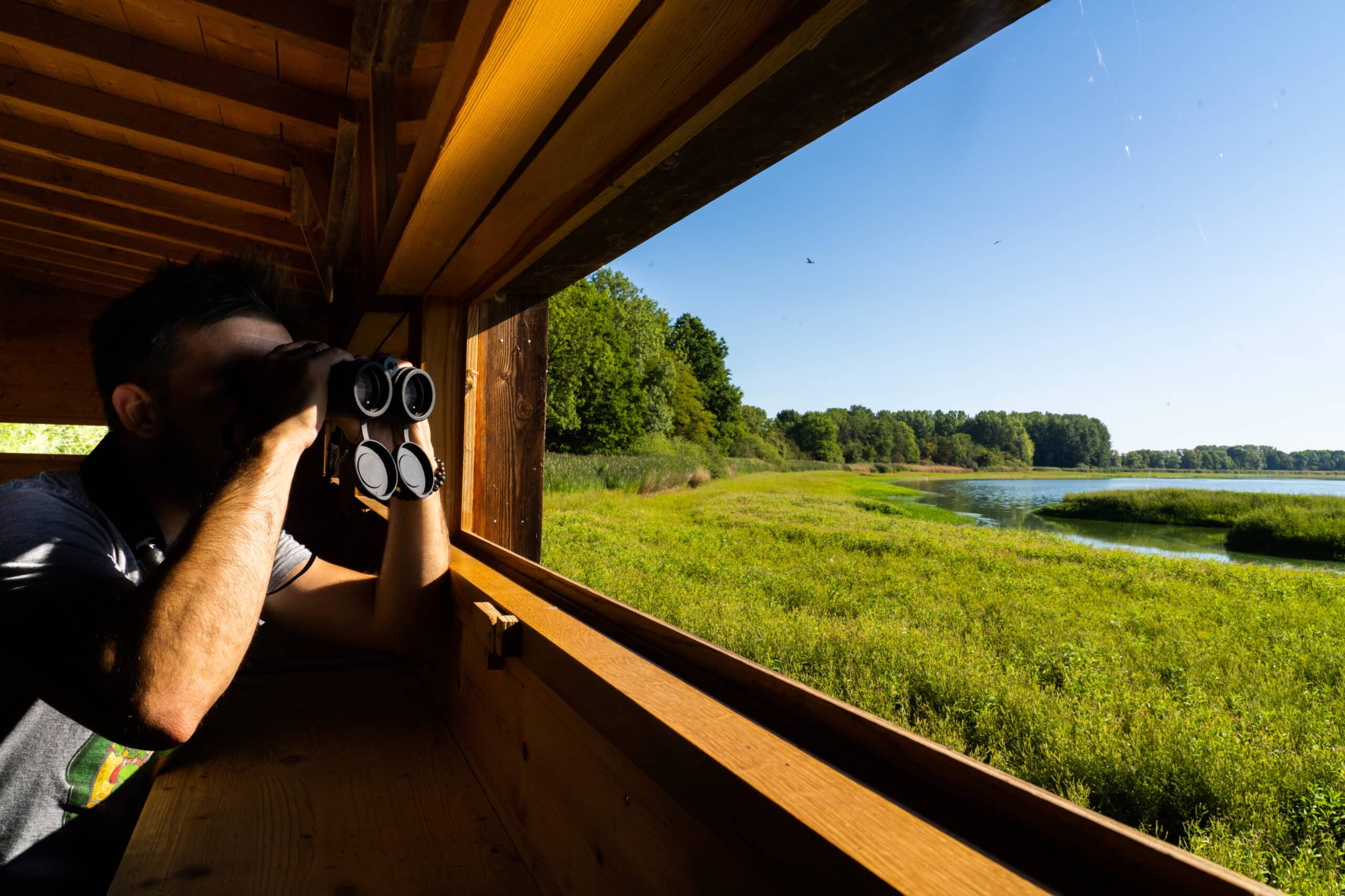 Photographie à partir de la cabane d'observation du Domaine départemental de Lindre