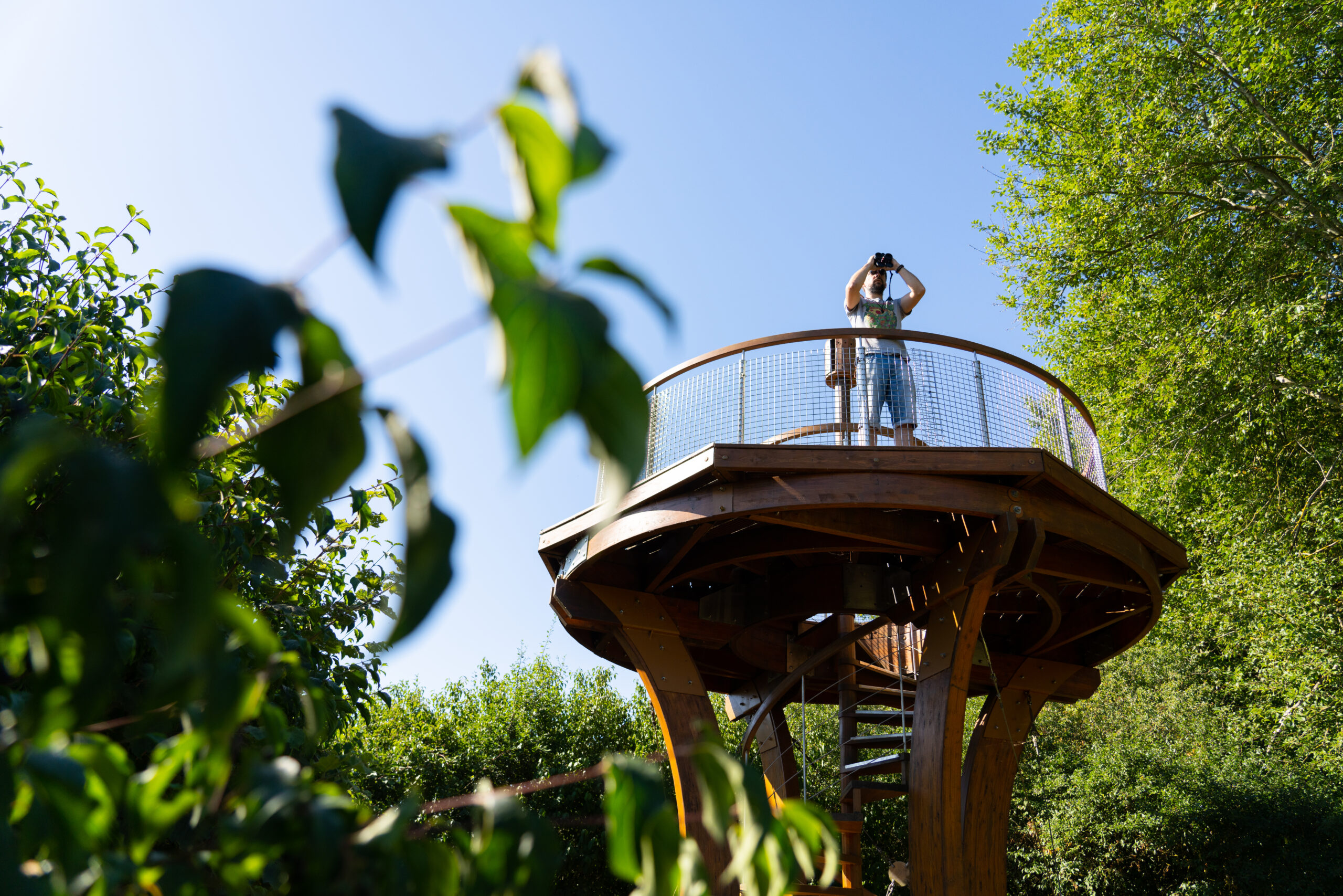 Point de vu du Domaine de Lindre vu d'en bas