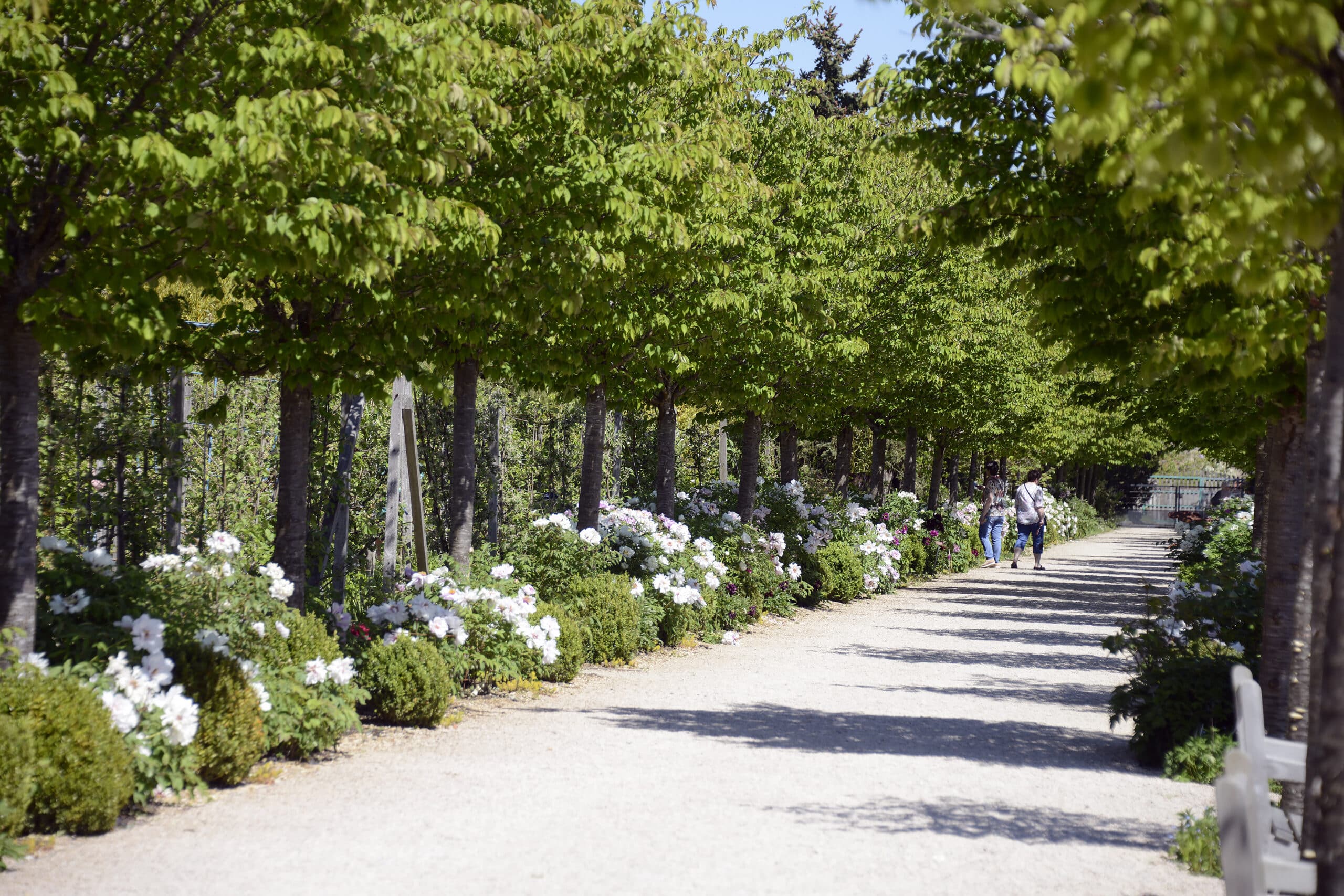 Photographie de la promenade des Jardins Fruitiers de Laquenexy