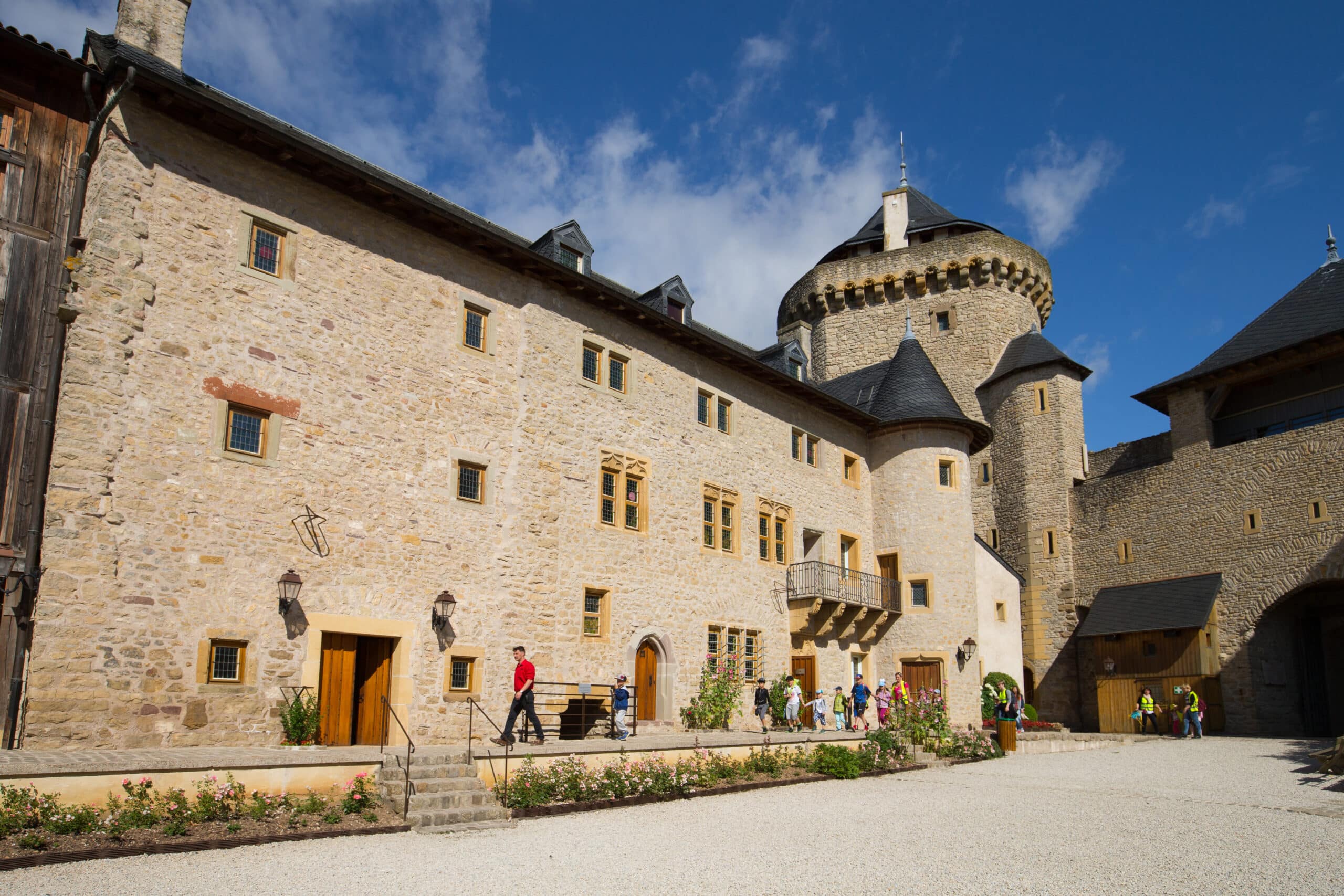 Photographie du Château de Malbrouck vu d'en bas