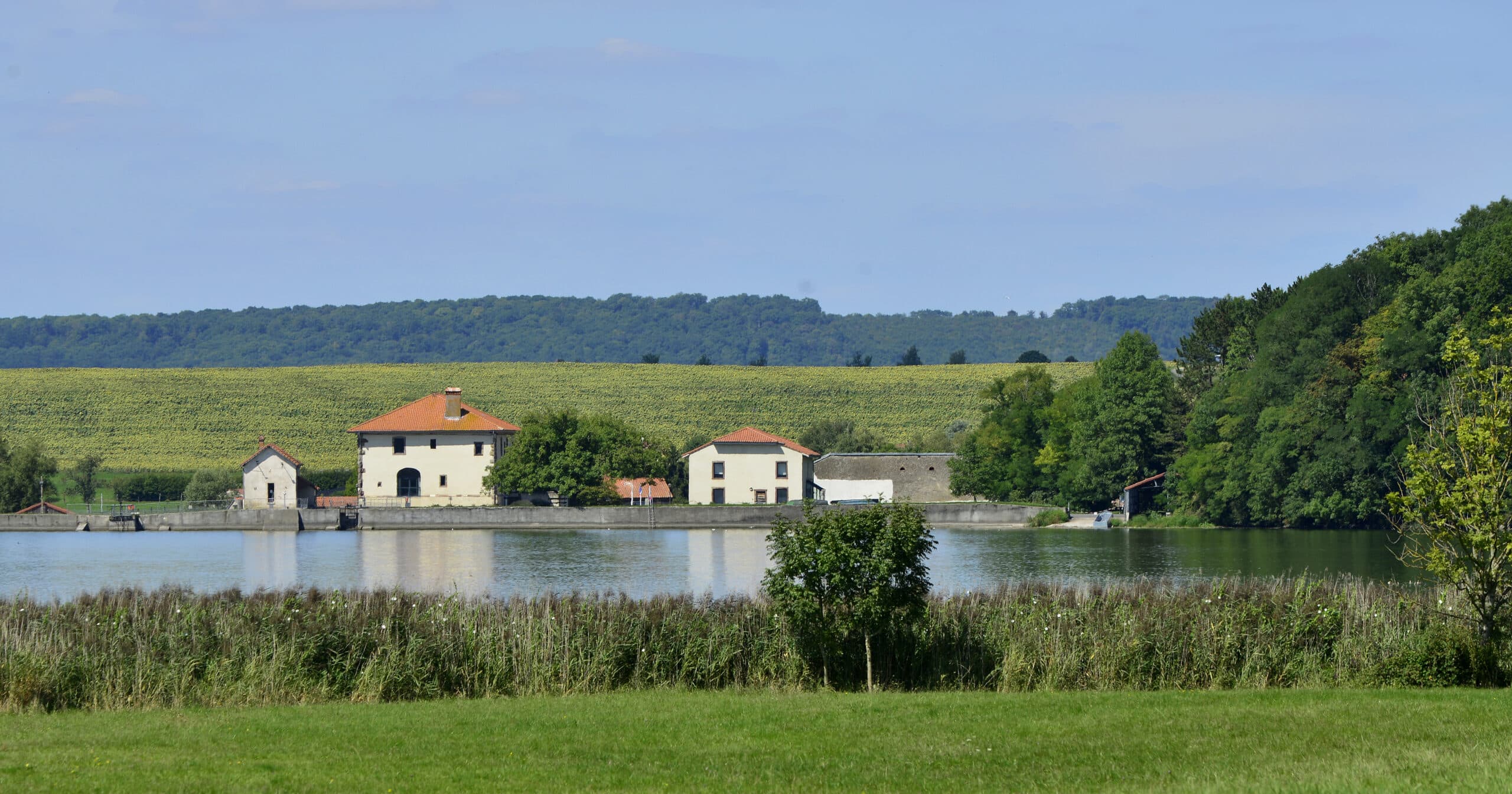 Landscape of the Lindre departmental domain