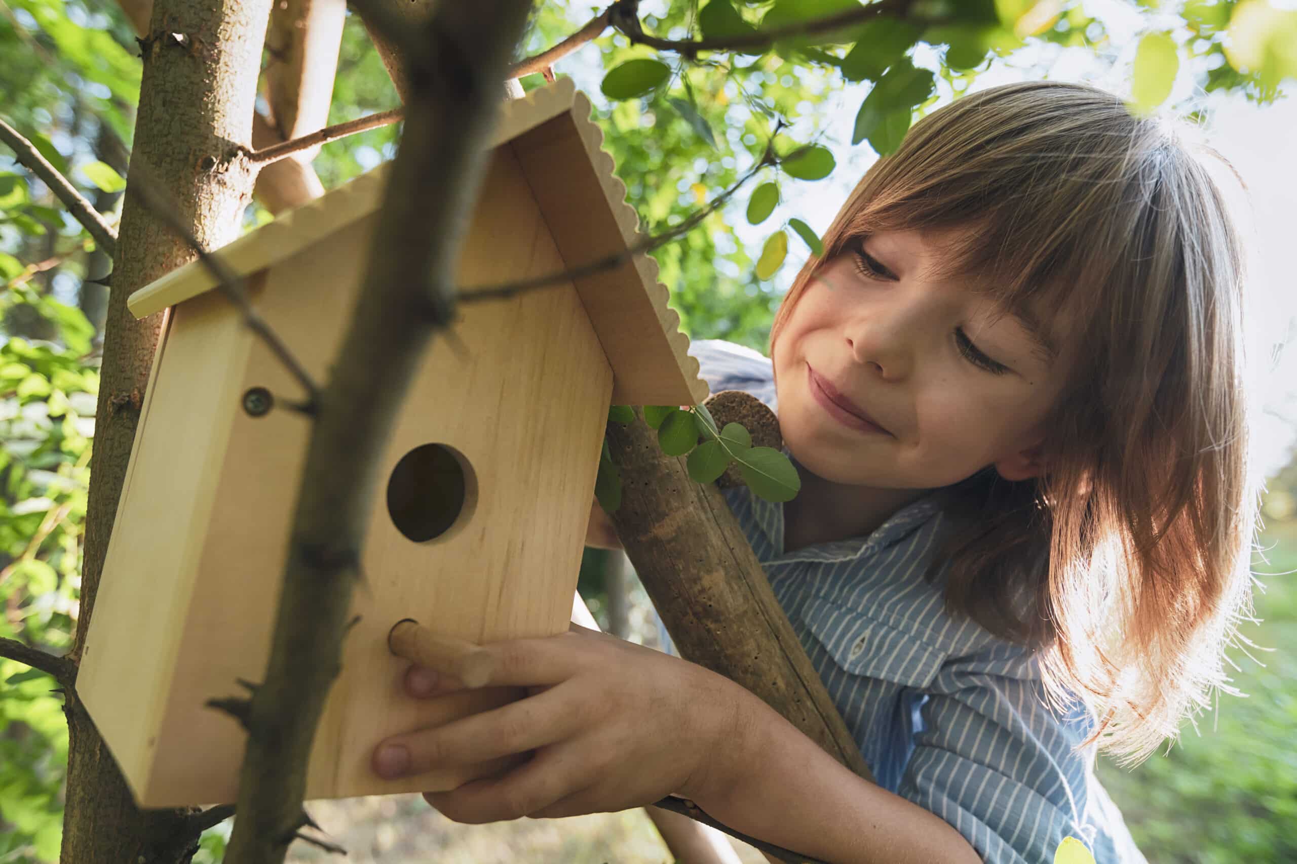 Photo d'une petite fille qui installe un nichoir dans un arbre