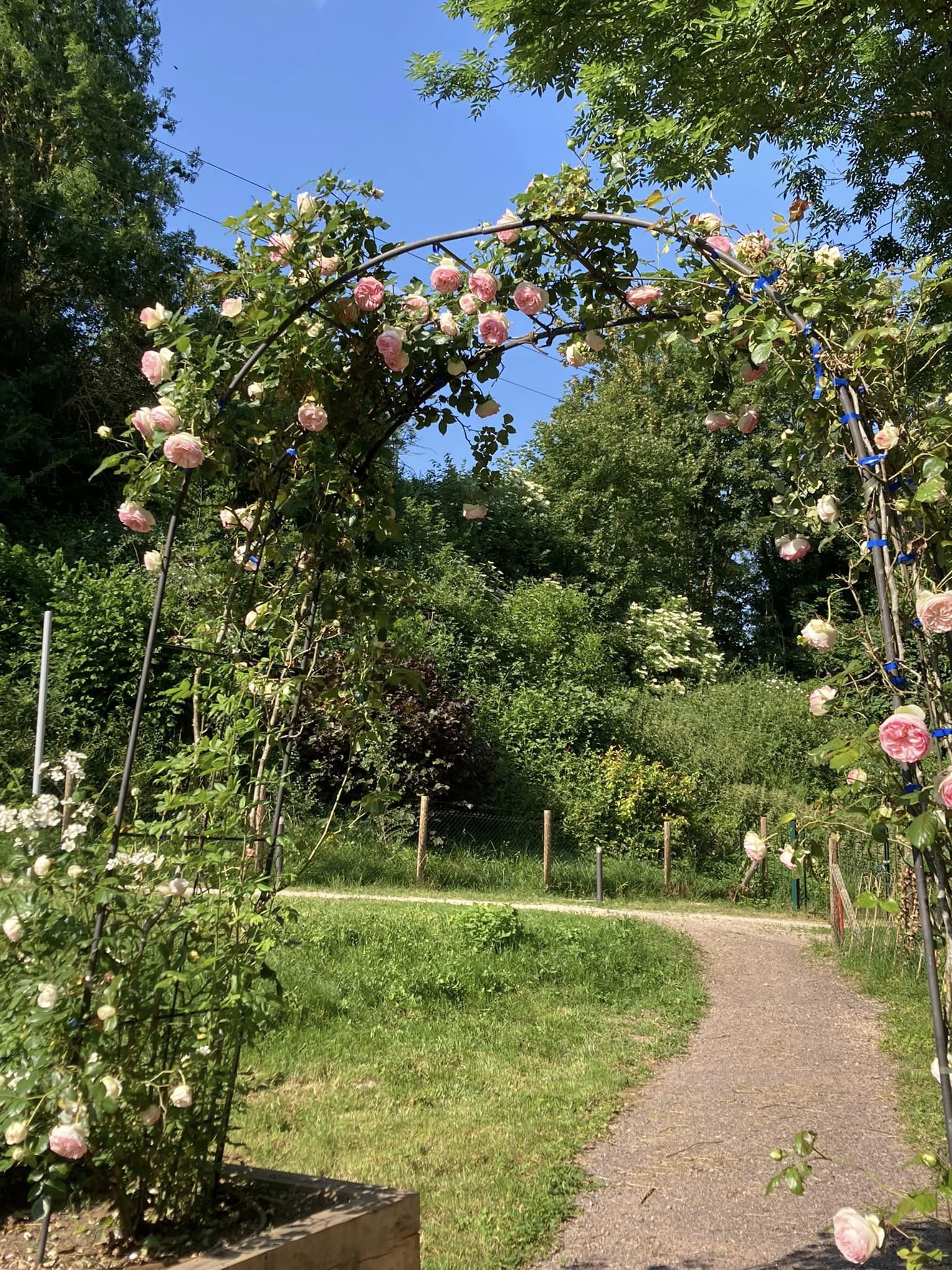 Vue du parc du Musée du Sel avec un petit chemin et des fleurs tout autour