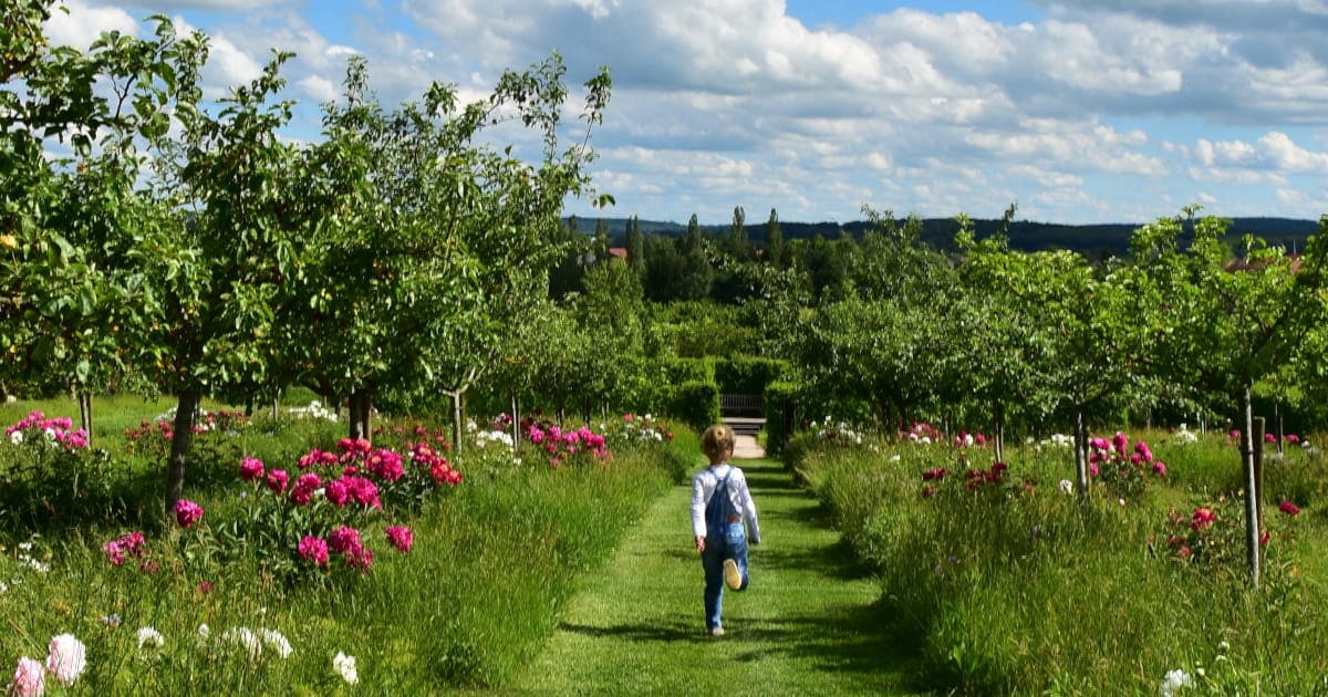 Photo montrant une petite fille en train de courir au milieu des arbres fruitiers
