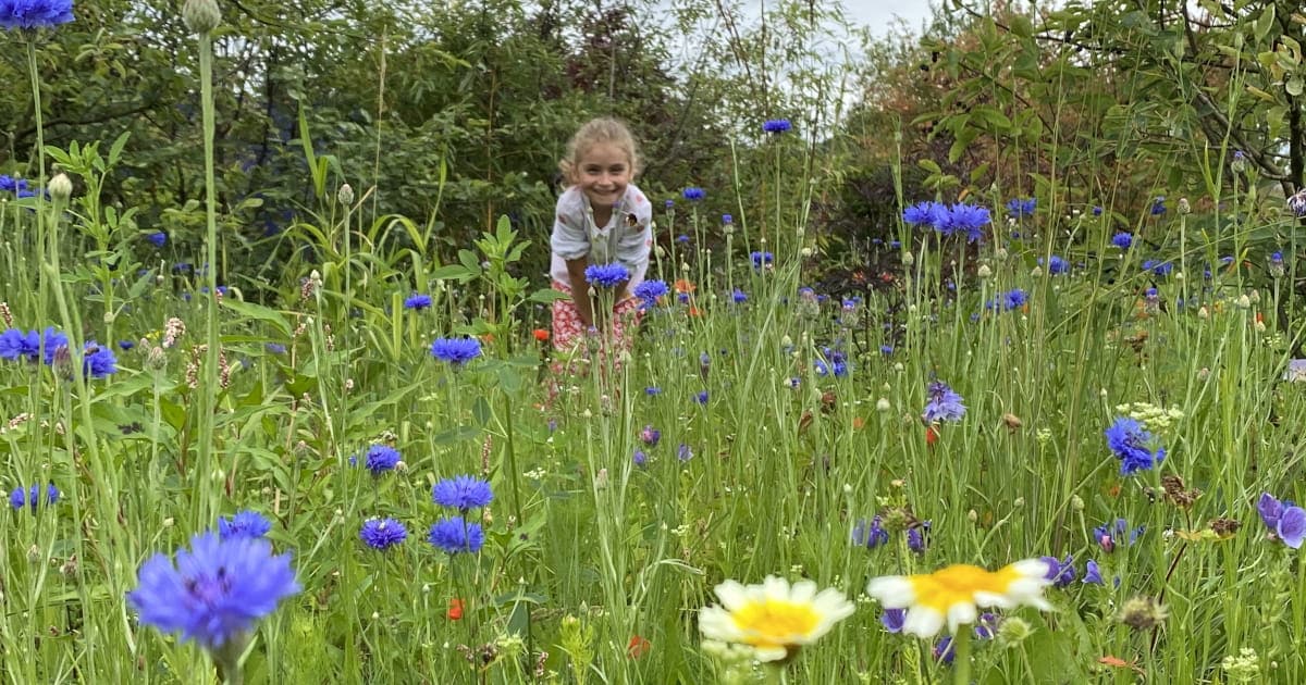 Photo montrant une petite fille au milieu des fleurs