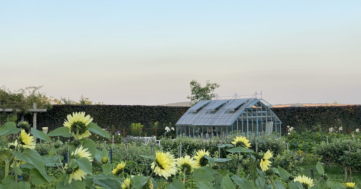 Visuel de la serre du jardin avec des tournesols au premier plan