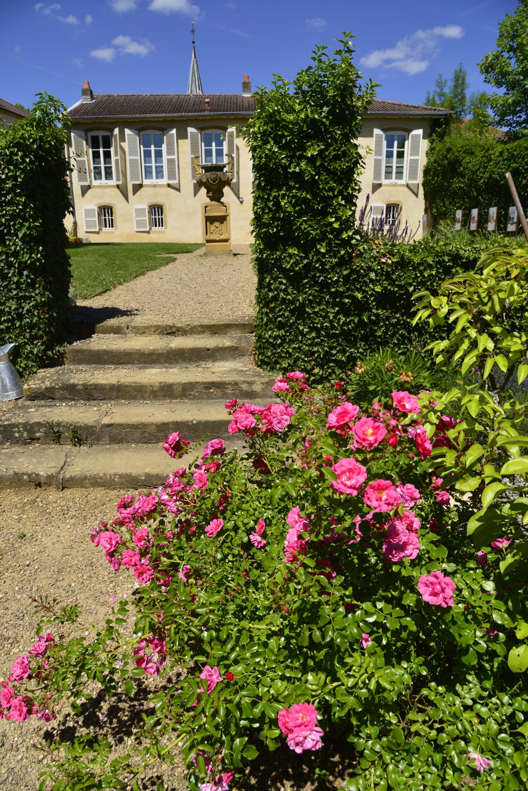 Un parterre de fleurs de roses à côté d'un chemin qui mène à la Maison de Robert Schuman en arrière-plan