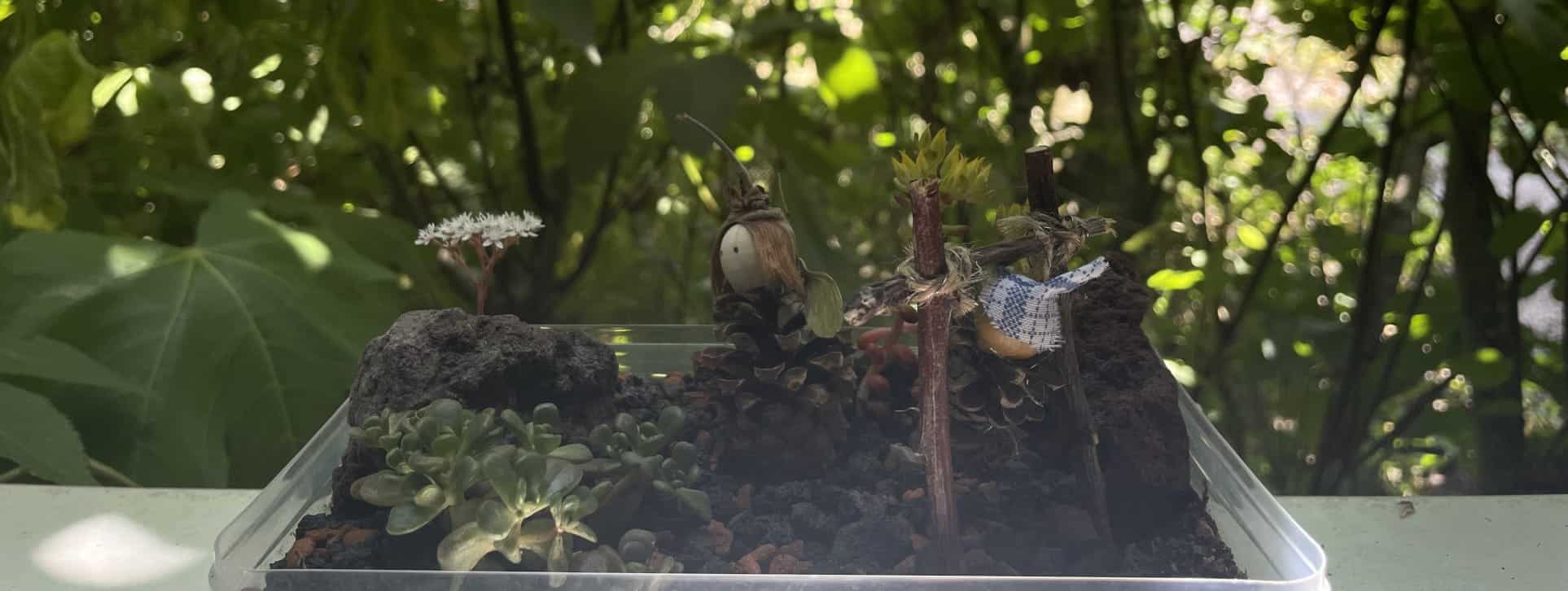 Mini jardin créé à l'aide plantes grasses et de personnages en pomme de pin sur fond de feuilles de figuier.