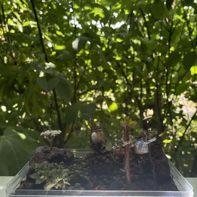 Mini jardin créé à l'aide plantes grasses et de personnages en pomme de pin sur fond de feuilles de figuier.