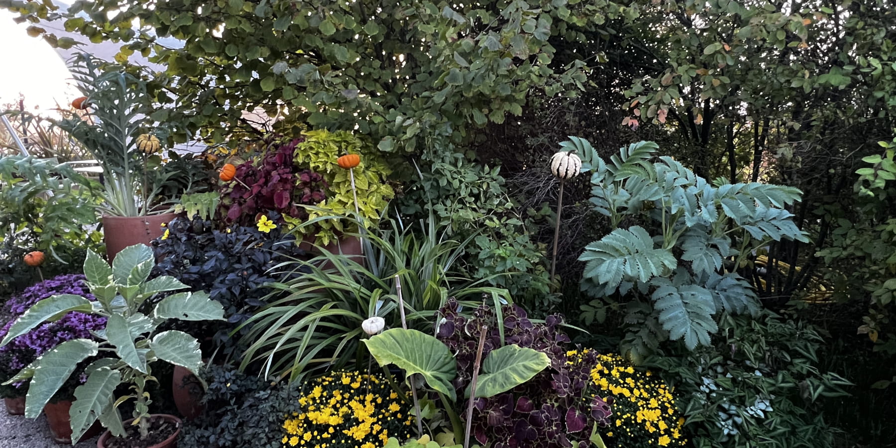 Installation de pots à l'entrée des Jardins.