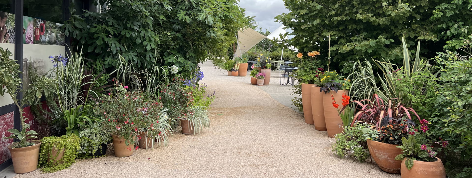 Installation de pots à l'entrée des Jardins Fruitiers de Laquenexy en été