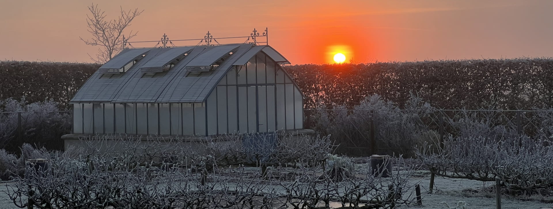 Serre du potager de l'Epicurien au lever du soleil sous le givre