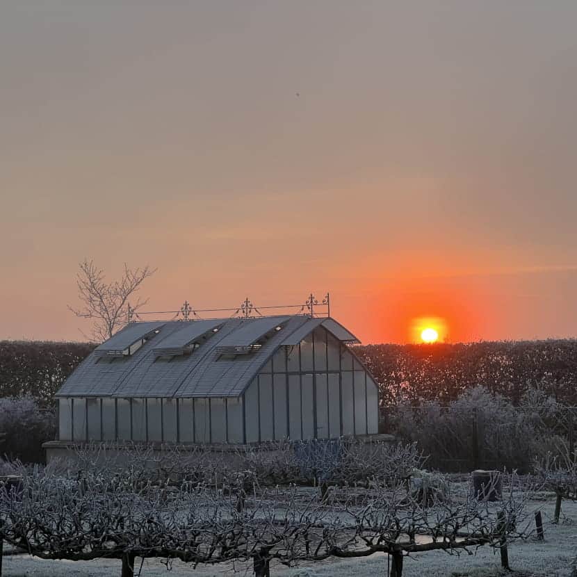 Serre du potager de l'Epicurien au lever du soleil sous le givre
