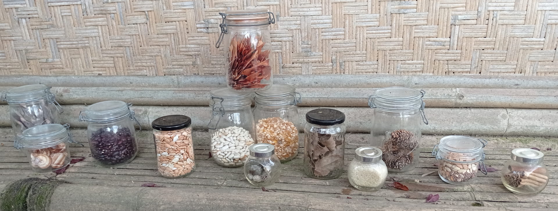Série de bocaux de plusieurs formes avec des graines, coquilles d'escargots, feuilles ou pommes de pin à l'intérieur.
