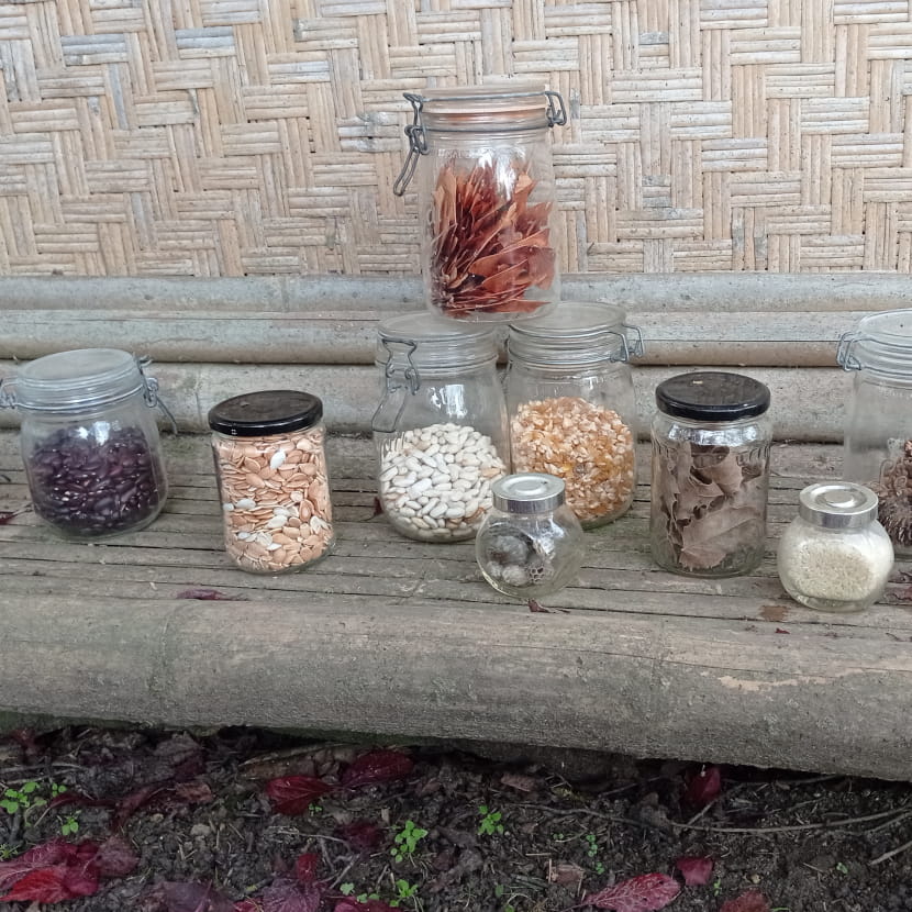Série de bocaux de plusieurs formes avec des graines, coquilles d'escargots, feuilles ou pommes de pin à l'intérieur.