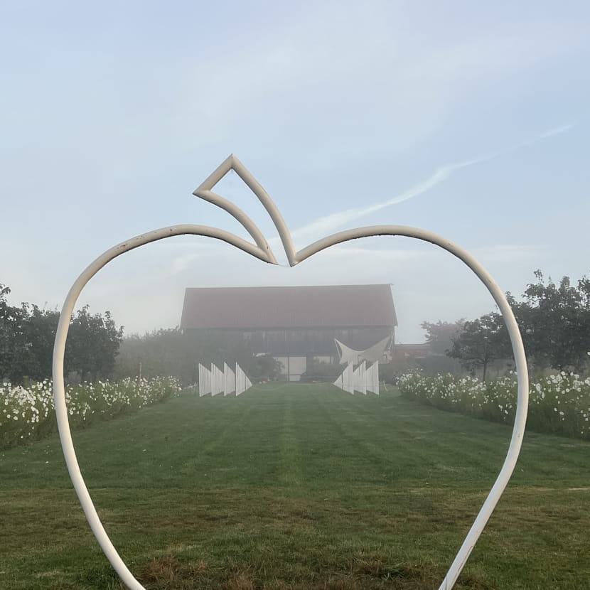 Clos de saveurs vu à travers une sculpture blanche en forme de pomme, 2 bandes de cosmos blancs de part et d'autre, bâtiment d'accueil en fond et légère brume.