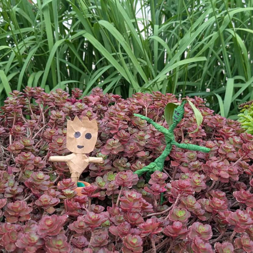 Les personnages de Picket et Groot, fabriqués à la main, se reposent dans un pot de sédums rougeâtres