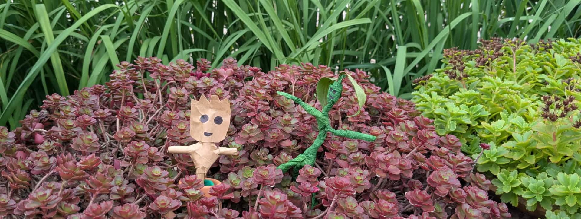 Les personnages de Picket et Groot, fabriqués à la main, se reposent dans un pot de sédums rougeâtres