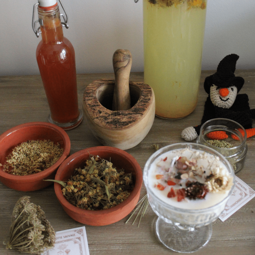 Des flacons de potions et des herbes